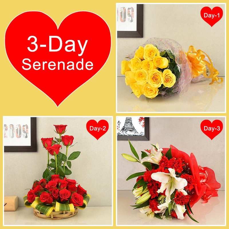 3 Days Serenade