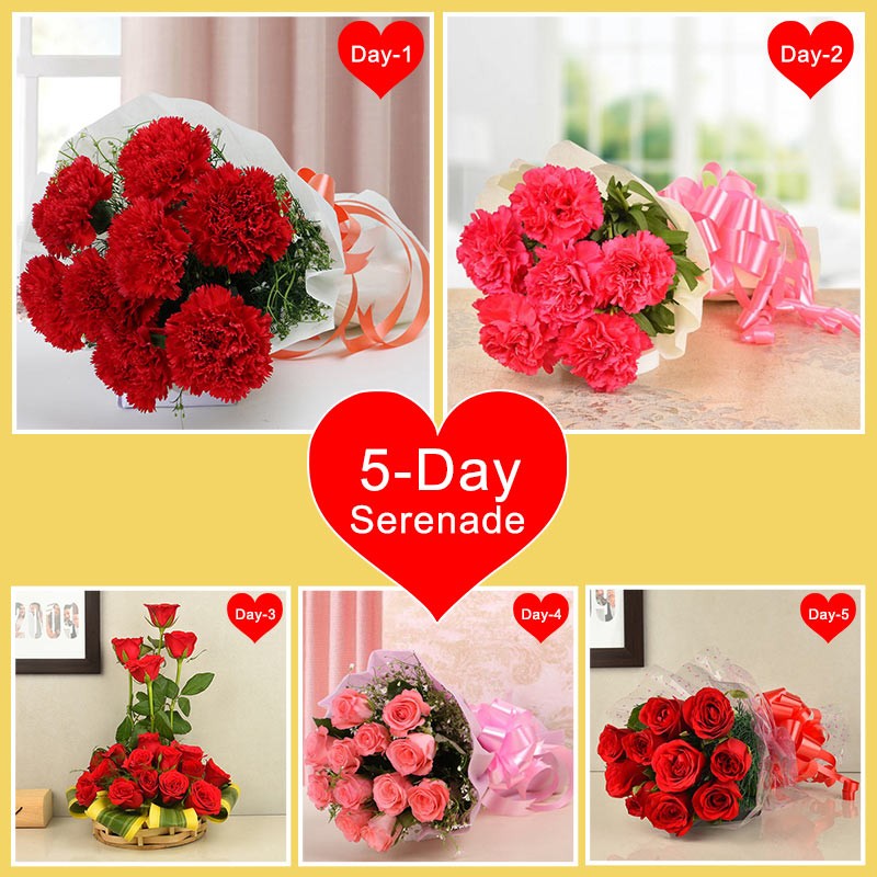 5 Days Serenade