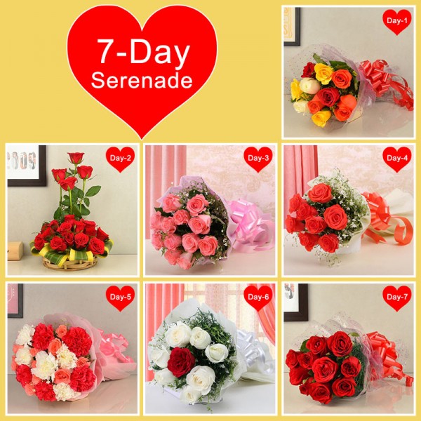 7 Days Serenade