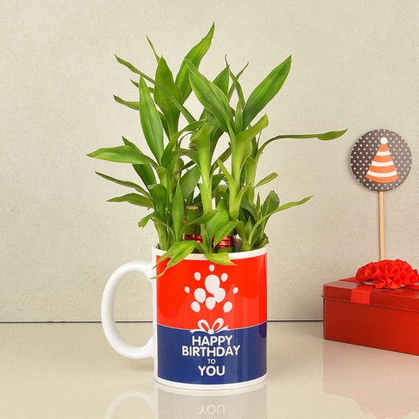 Happy Birthday Printed Coffee Mug with Lucky Bamboo 