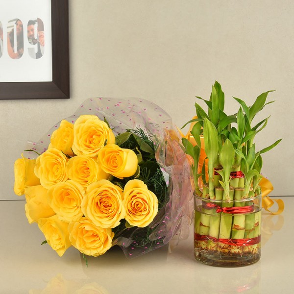 12 Yellow roses with 2 layer lucky bambo in a glass vase