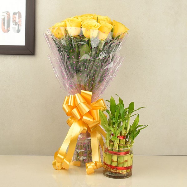 Yellow Flowers with Indoor Plants