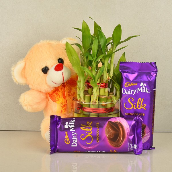 2 Layer lucky bambo in a glass vase with Teddy bear (6 inch) and 2 Cadbury Dairy Milk Silk