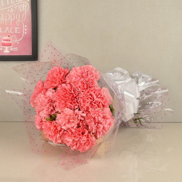 Lovely Pink Carnations