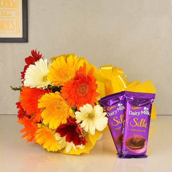 12 Colorful Gerberas in Yellow Paper packing, Yellow Bow with 2 Cadbury's DairyMilk Silk (60 gms each)