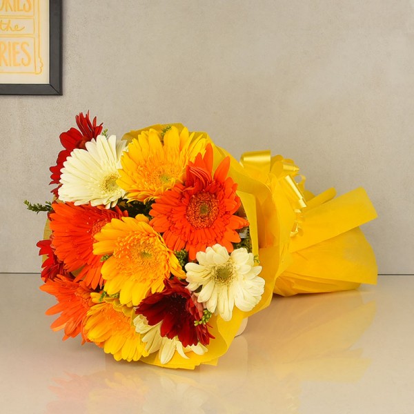 12 Colorful Gerberas with Paper Packing