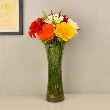 12 Mix Gerberas in a Glass Vase