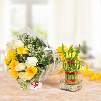  6 Yellow Roses and 6 White Roses with 2 layer Lucky Bamboo Plant