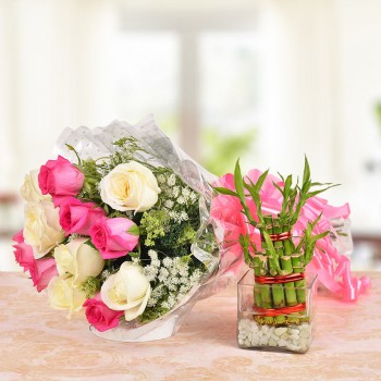 6 Pink Roses and 6 White Roses with 2 layer Lucky Bamboo Plant