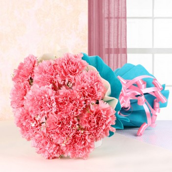 12 Pink Carnations with Blue and White Paper Packing