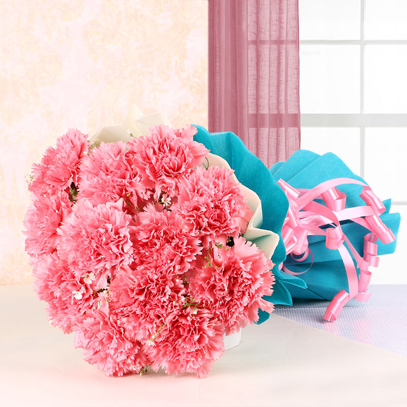 12 Pink Carnations with Blue and White Paper Packing