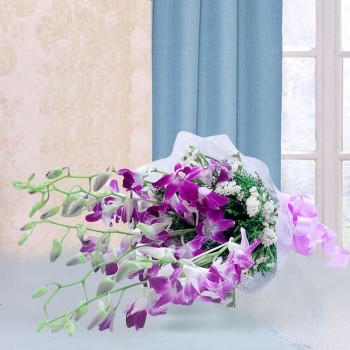 6 Purple Orchids wrapped in Cellophane packing