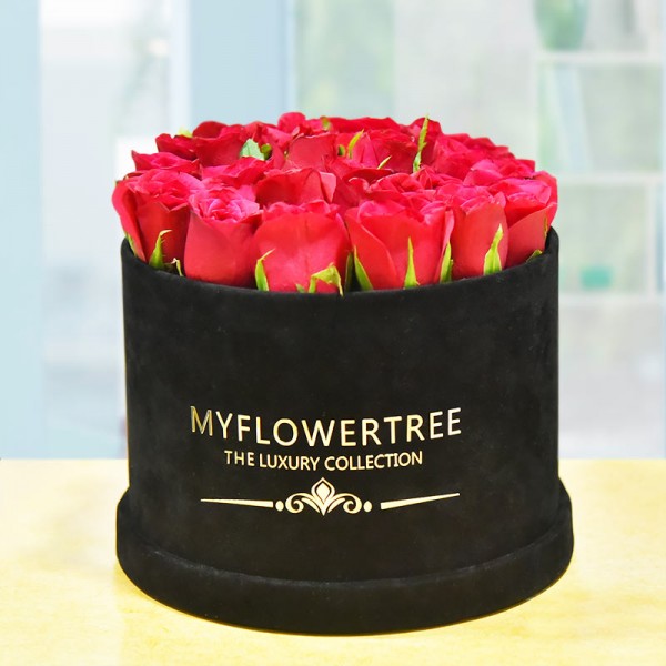 40 Red Roses in a Black Signature Velvet Box