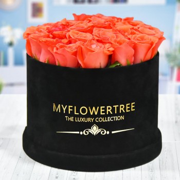 40 Orange Roses in a Black Signature Velvet Box