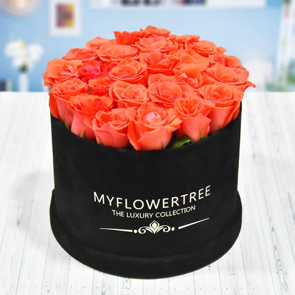 40 Roses in Luxury Box