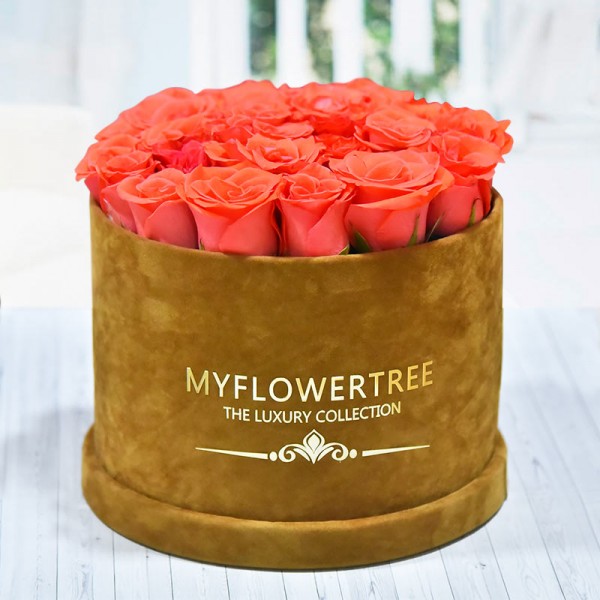 40 Orange Roses in a Brown Signature Velvet Box