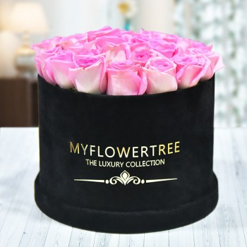 40 Pink Roses in a Black Signature Velvet Box