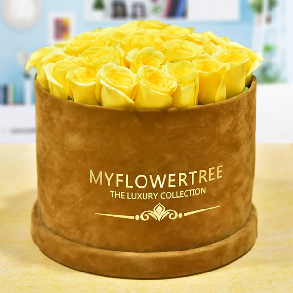 40 Yellow Roses in a Brown Signature Velvet Box