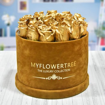 40 Golden Spray Roses in a Brown Signature Velvet Box