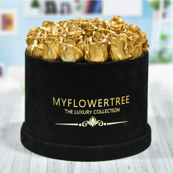 40 Golden Spray Roses in a Black Signature Velvet Box