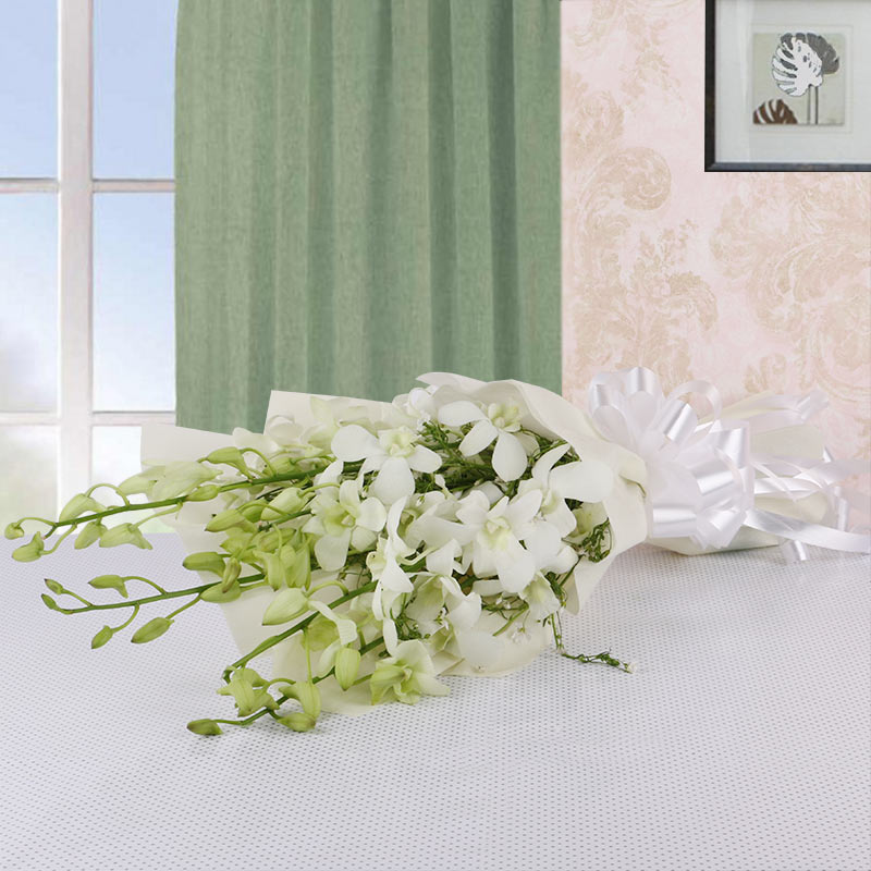 6 White Orchids with White paper