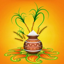 Pongal Gifts Online