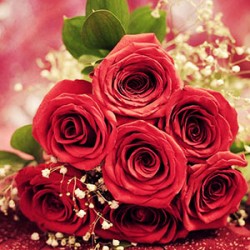 Roses Special