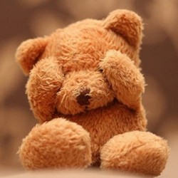Teddy Day Gifts Online