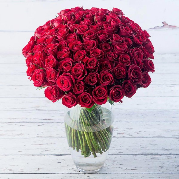 100 Red Roses- MyFlowerTree