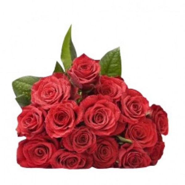 20 Count Roses 20 Red Roses Bunch- MyFlowerTree