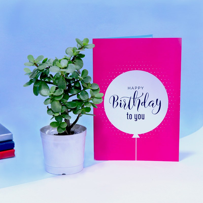 Blessed Birthday Combo