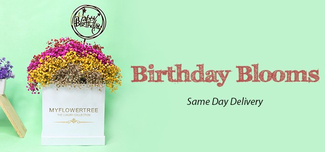 Same Day Gift Delivery  FromYouFlowers