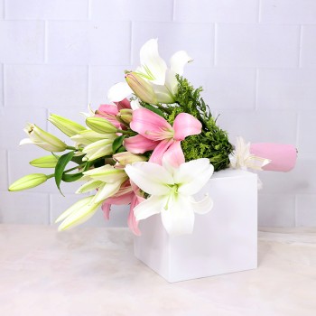  6 Pink and White Asiatic Lilies 