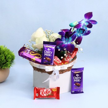 Orchid N Cocoa Luxury