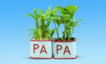 Plants