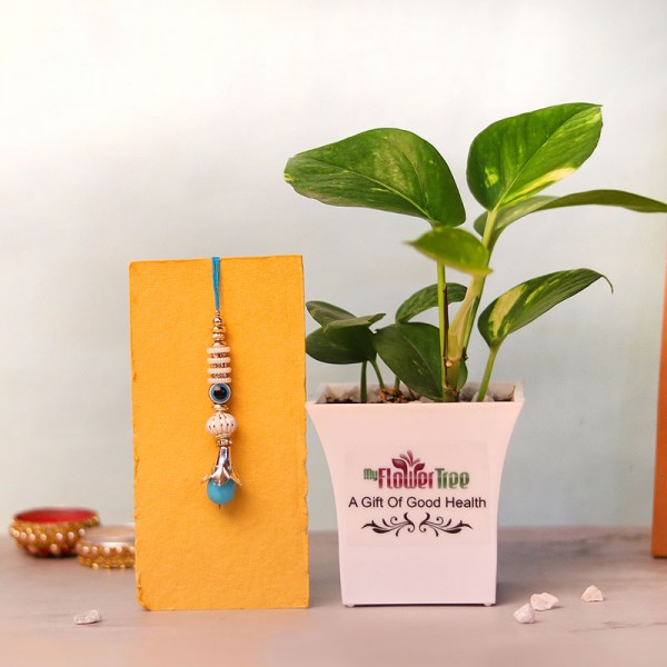 Evil Eye Lumba with Money Plant