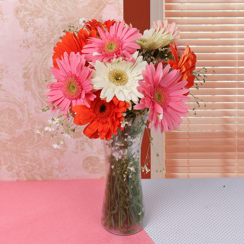 10 Assorted Gerberas in a Glass Vase