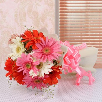 10 Assorted Gerberas in White Paper