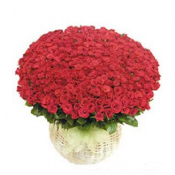 Special 100 Roses in Basket- MyFlowerTree