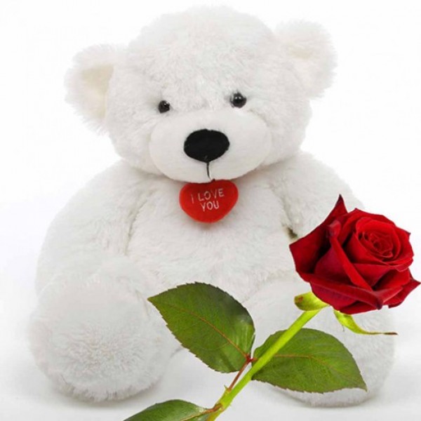 1 Red Roses with 1 Teddy Bear (18inches)