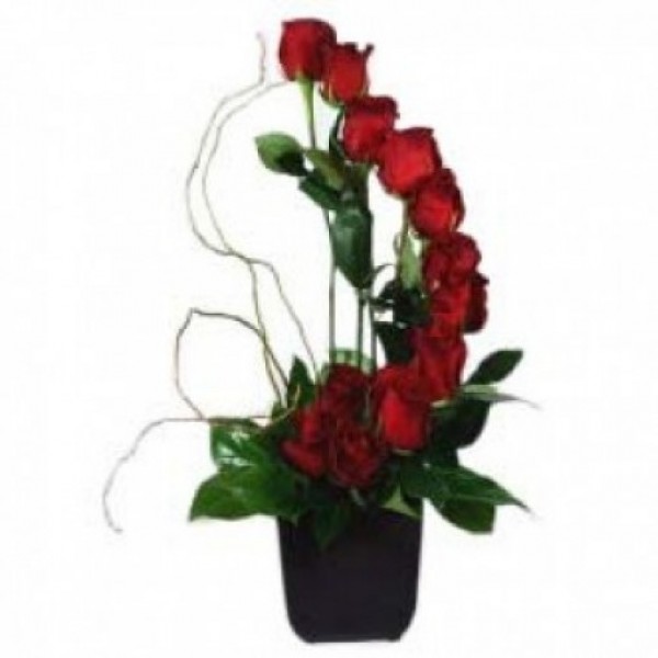 Moon shape floral arrangement of 15 Red Roses in a Vase