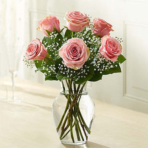 6 Pink Roses in Vase