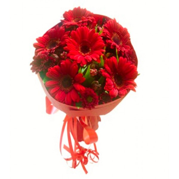 6 Red Gerberas with Paper Packing