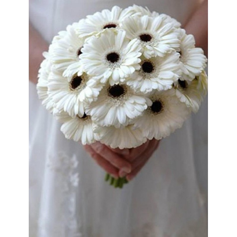 12 White Gerberas Bunch