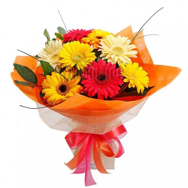 8 Assorted Gerberas wrapped in Special Paper