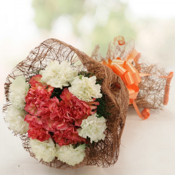 12 Carnations (Orange and White) Bunch
