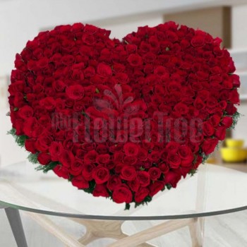300 Red Roses in Heart-shaped Arrangement