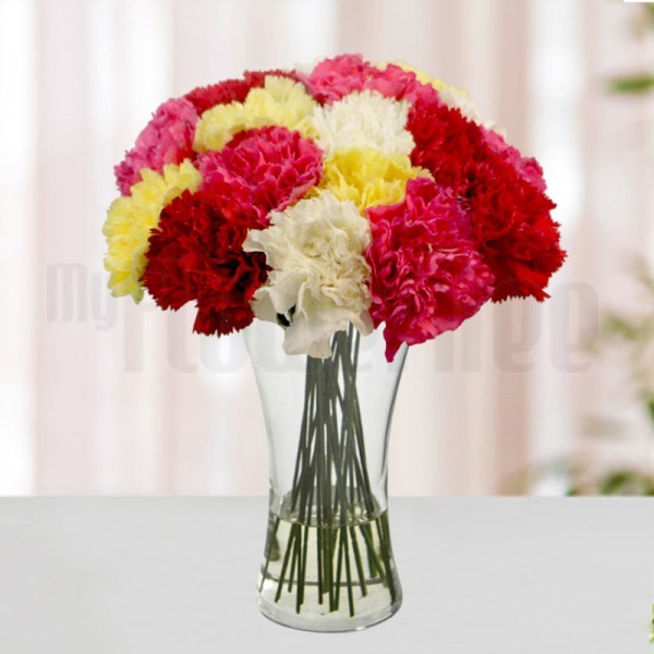 12 Colourful Carnations (Yellow,Red,Pink and White) in a Glass Vase