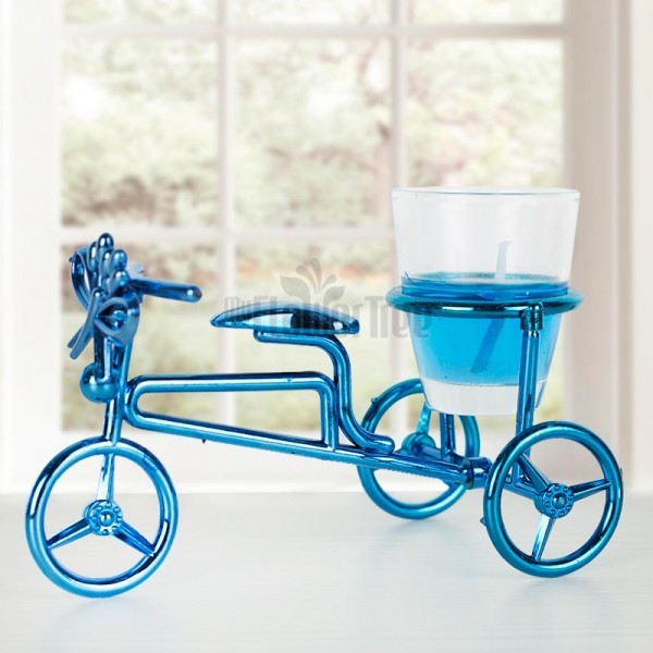 Blue Color Cycle Stand