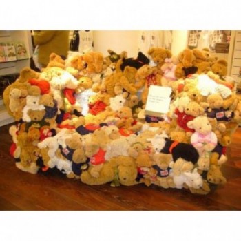 Room full of teddies including 2 Teddy Bears (18 Inches) 8 Teddy Bears (12 Inches) 10 Teddy Bears (6 Inches)